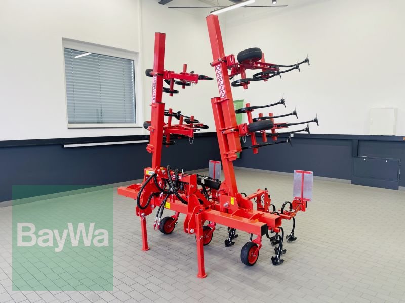 Striegeltechnik & Hacktechnik типа Maschio HS 6, Gebrauchtmaschine в Manching (Фотография 10)