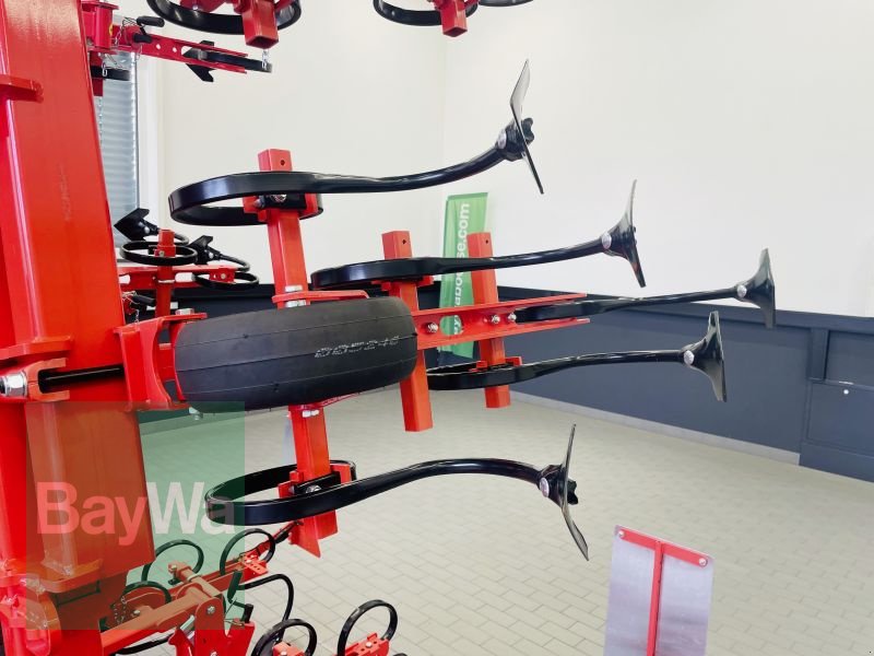 Striegeltechnik & Hacktechnik типа Maschio HS 6, Gebrauchtmaschine в Manching (Фотография 14)