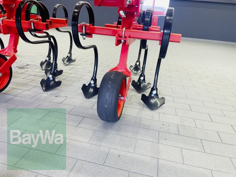 Striegeltechnik & Hacktechnik za tip Maschio HS 6F, Gebrauchtmaschine u Manching (Slika 12)