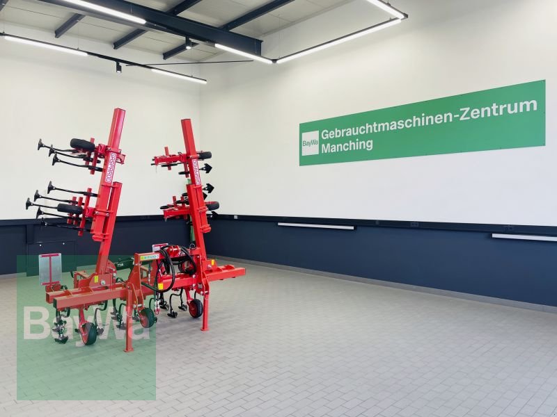 Striegeltechnik & Hacktechnik za tip Maschio HS 6F, Gebrauchtmaschine u Manching (Slika 1)