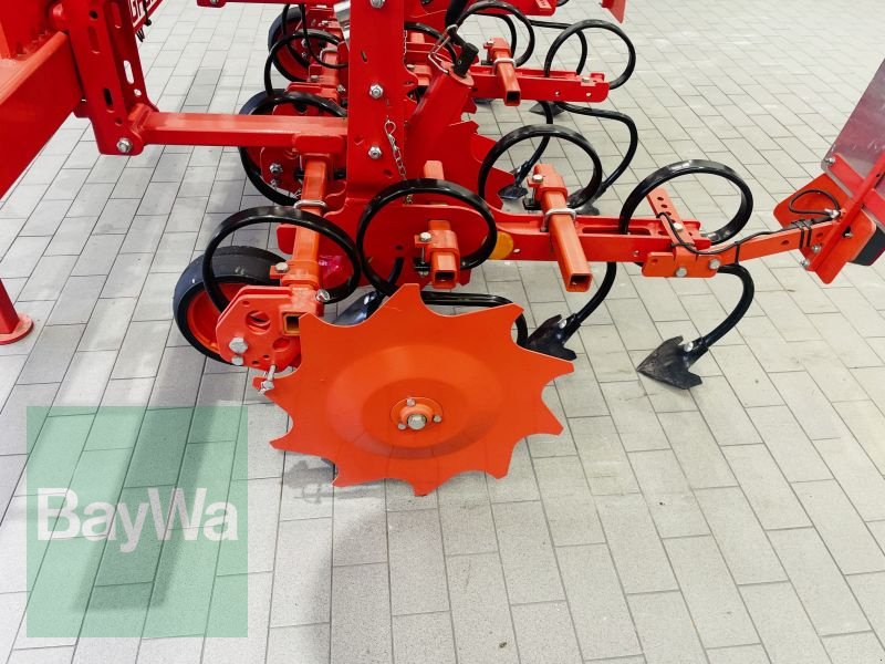 Striegeltechnik & Hacktechnik typu Maschio HS 8, Gebrauchtmaschine v Manching (Obrázek 11)