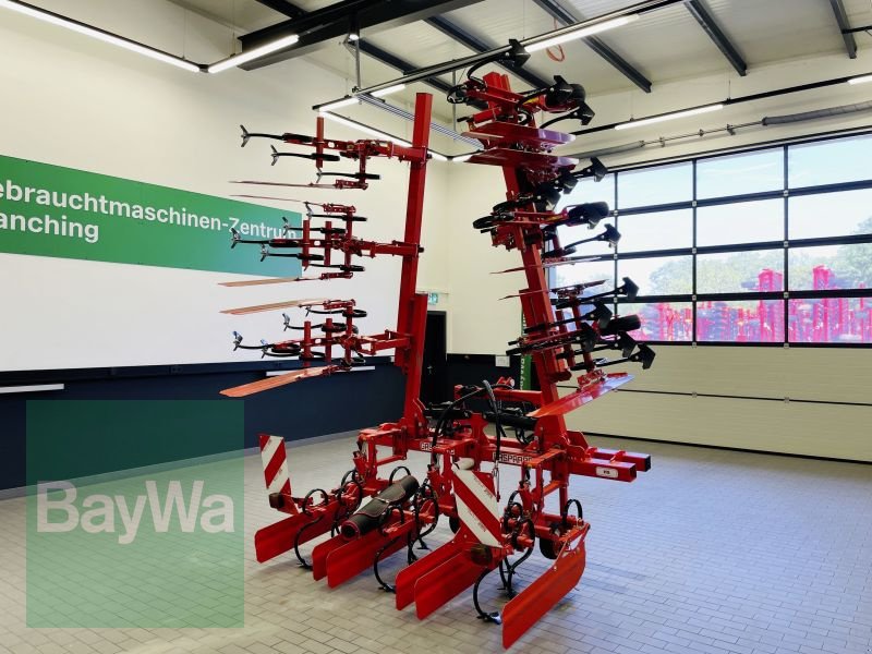 Striegeltechnik & Hacktechnik des Typs Maschio HS 8, Gebrauchtmaschine in Manching (Bild 5)