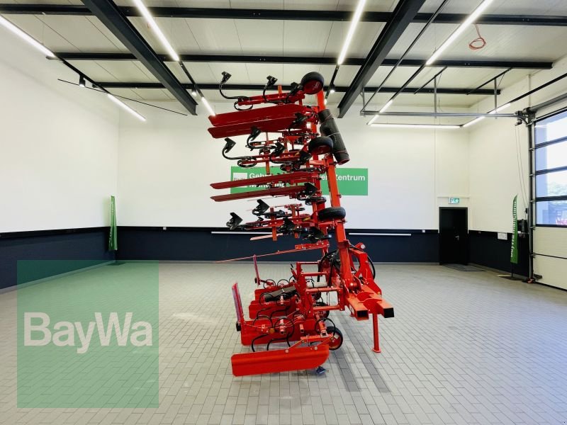 Striegeltechnik & Hacktechnik des Typs Maschio HS 8, Gebrauchtmaschine in Manching (Bild 4)