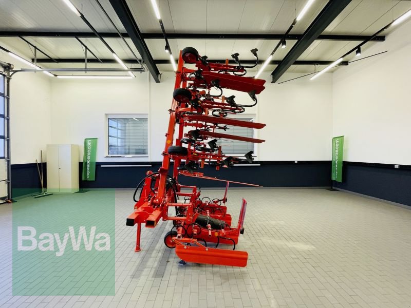 Striegeltechnik & Hacktechnik des Typs Maschio HS 8, Gebrauchtmaschine in Manching (Bild 9)