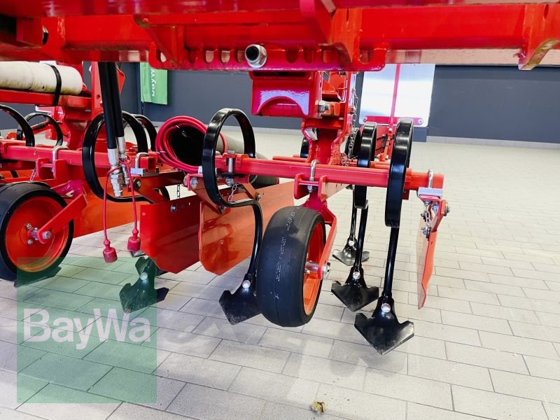 Striegeltechnik & Hacktechnik des Typs Maschio HS 8, Gebrauchtmaschine in Manching (Bild 13)