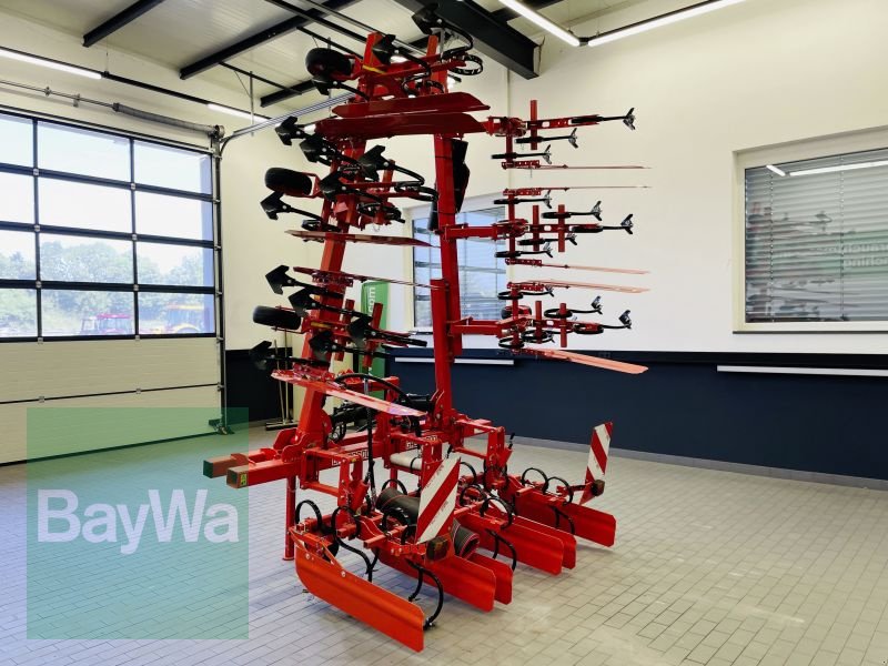 Striegeltechnik & Hacktechnik des Typs Maschio HS 8, Gebrauchtmaschine in Manching (Bild 8)