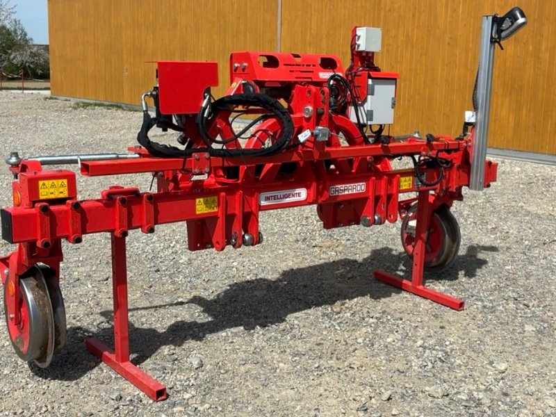 Striegeltechnik & Hacktechnik типа Maschio Intelligente, Gebrauchtmaschine в Pfullendorf