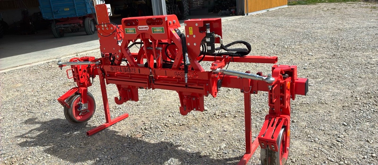 Striegeltechnik & Hacktechnik του τύπου Maschio Intelligente, Gebrauchtmaschine σε Pfullendorf (Φωτογραφία 7)