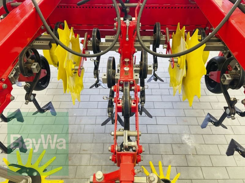 Striegeltechnik & Hacktechnik of the type Pöttinger FLEXCARE V 4700, Gebrauchtmaschine in Manching (Picture 13)