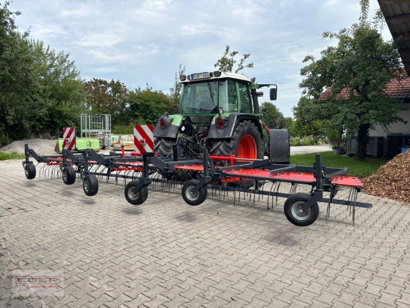 Striegeltechnik & Hacktechnik des Typs Saphir Grünlandstriegel, Gebrauchtmaschine in Tuntenhausen (Bild 1)