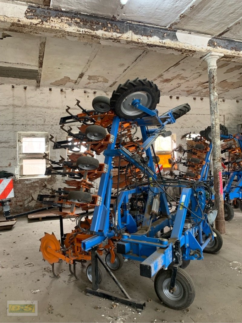 Striegeltechnik & Hacktechnik типа Schmotzer AV5 & KHR12X45, Gebrauchtmaschine в Neustadt Dosse (Фотография 1)