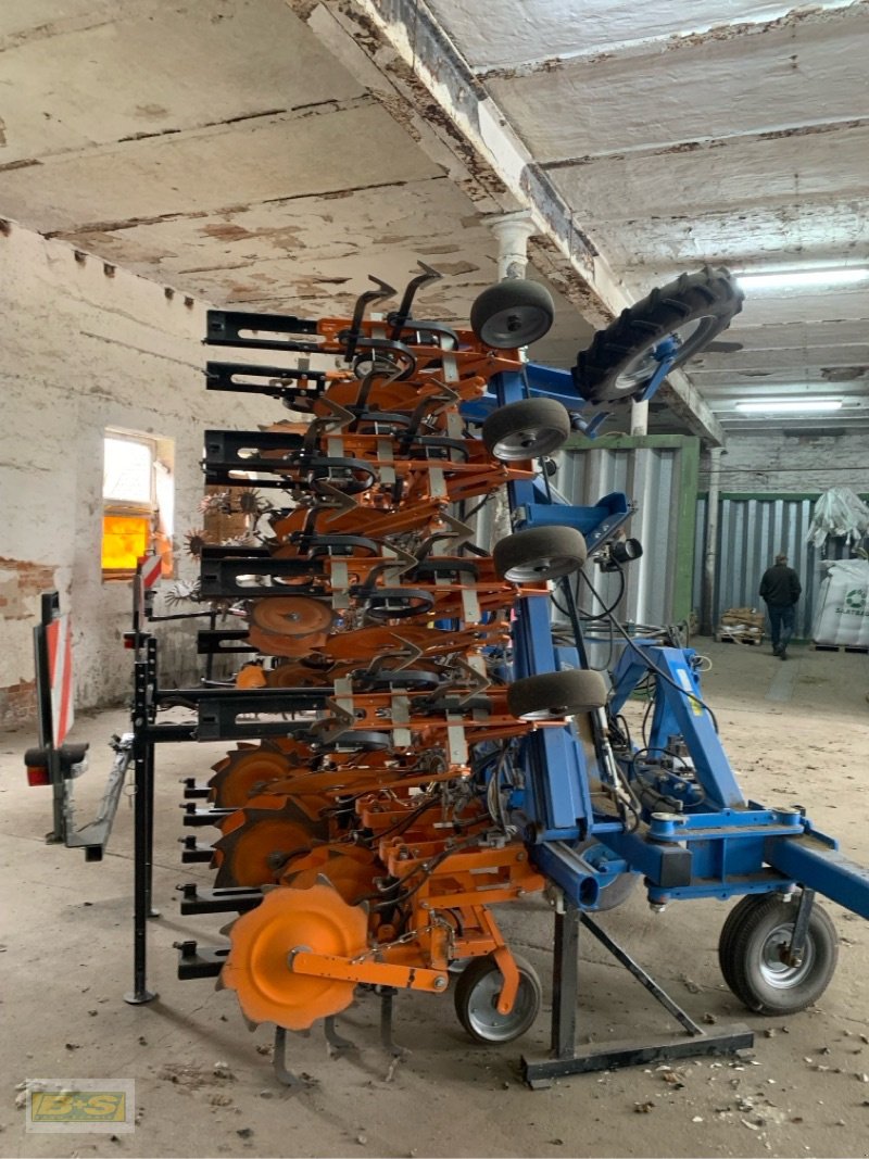 Striegeltechnik & Hacktechnik типа Schmotzer AV5 & KHR12X45, Gebrauchtmaschine в Neustadt Dosse (Фотография 3)