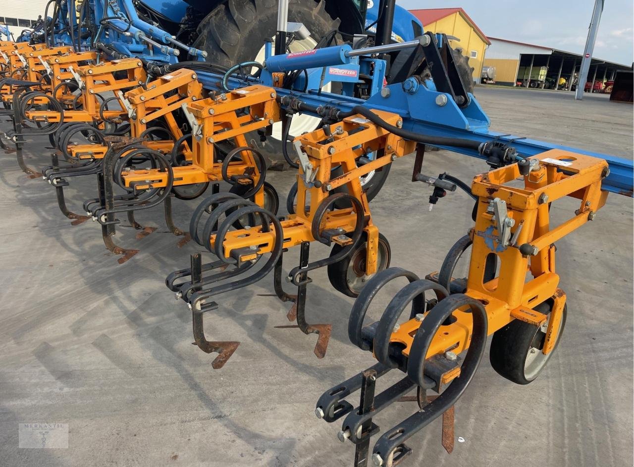 Striegeltechnik & Hacktechnik des Typs Schmotzer KPP 12 reihig, 75 cm, Gebrauchtmaschine in Pragsdorf (Bild 2)