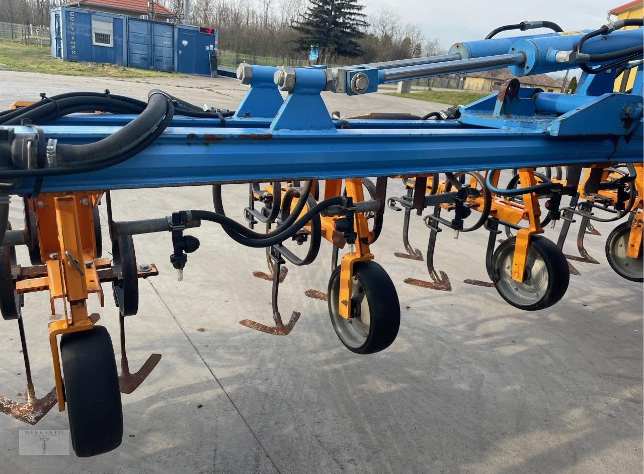 Striegeltechnik & Hacktechnik des Typs Schmotzer KPP 12 reihig, 75 cm, Gebrauchtmaschine in Pragsdorf (Bild 3)