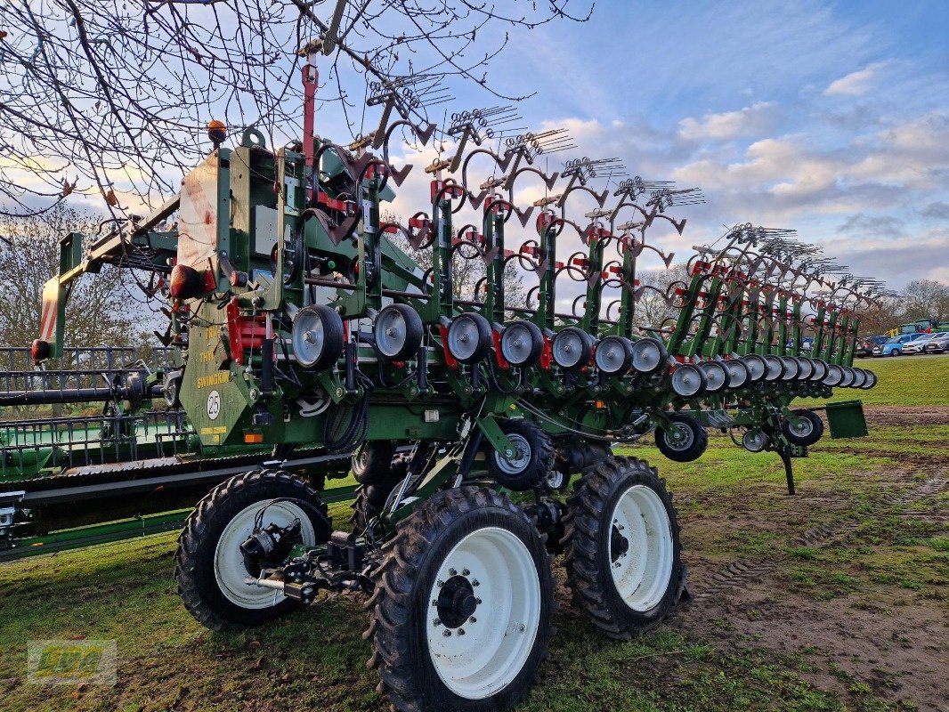 Striegeltechnik & Hacktechnik van het type Thyregod Swingking TRV-18/ 36 Reihen, Gebrauchtmaschine in Schenkenberg (Foto 4)