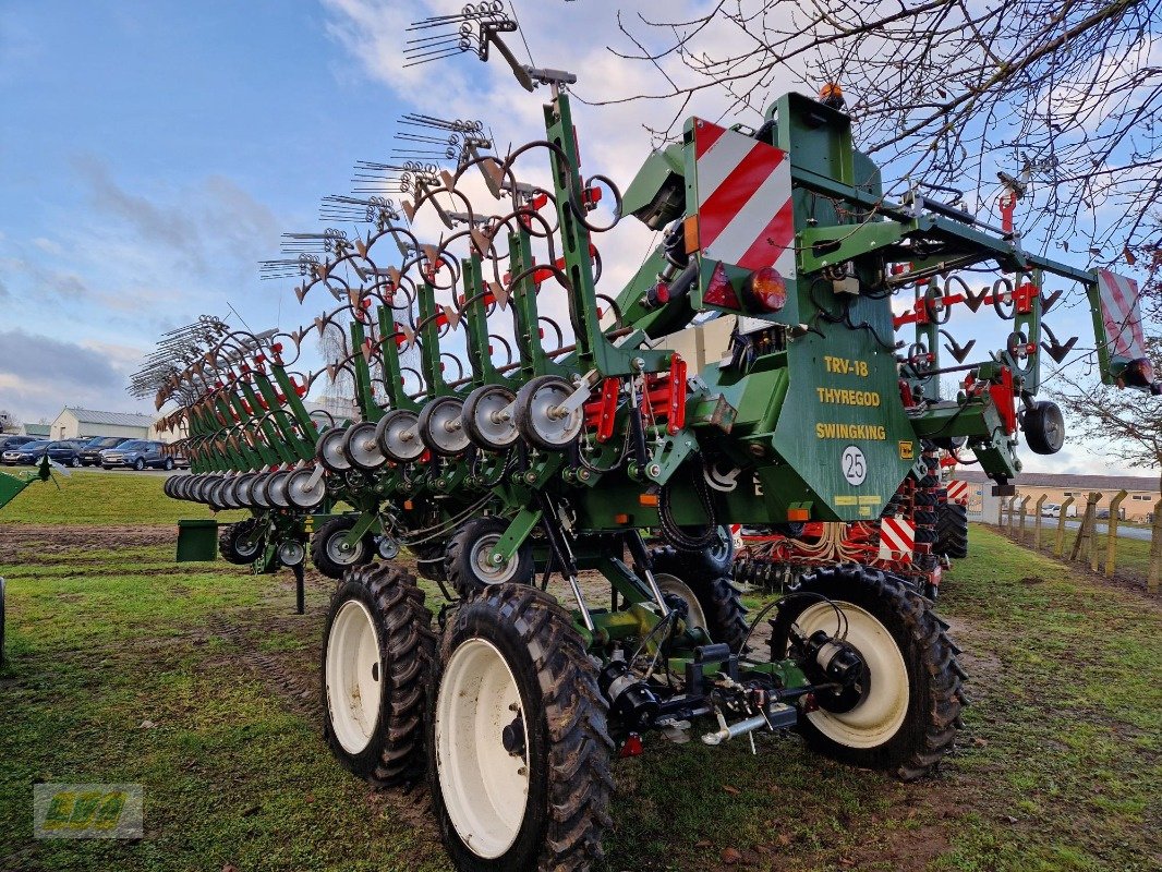 Striegeltechnik & Hacktechnik van het type Thyregod Swingking TRV-18/ 36 Reihen, Gebrauchtmaschine in Schenkenberg (Foto 5)