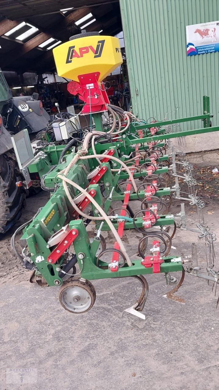 Striegeltechnik & Hacktechnik of the type Thyregod TRV 8 Reihen + APV, Gebrauchtmaschine in Pragsdorf (Picture 3)