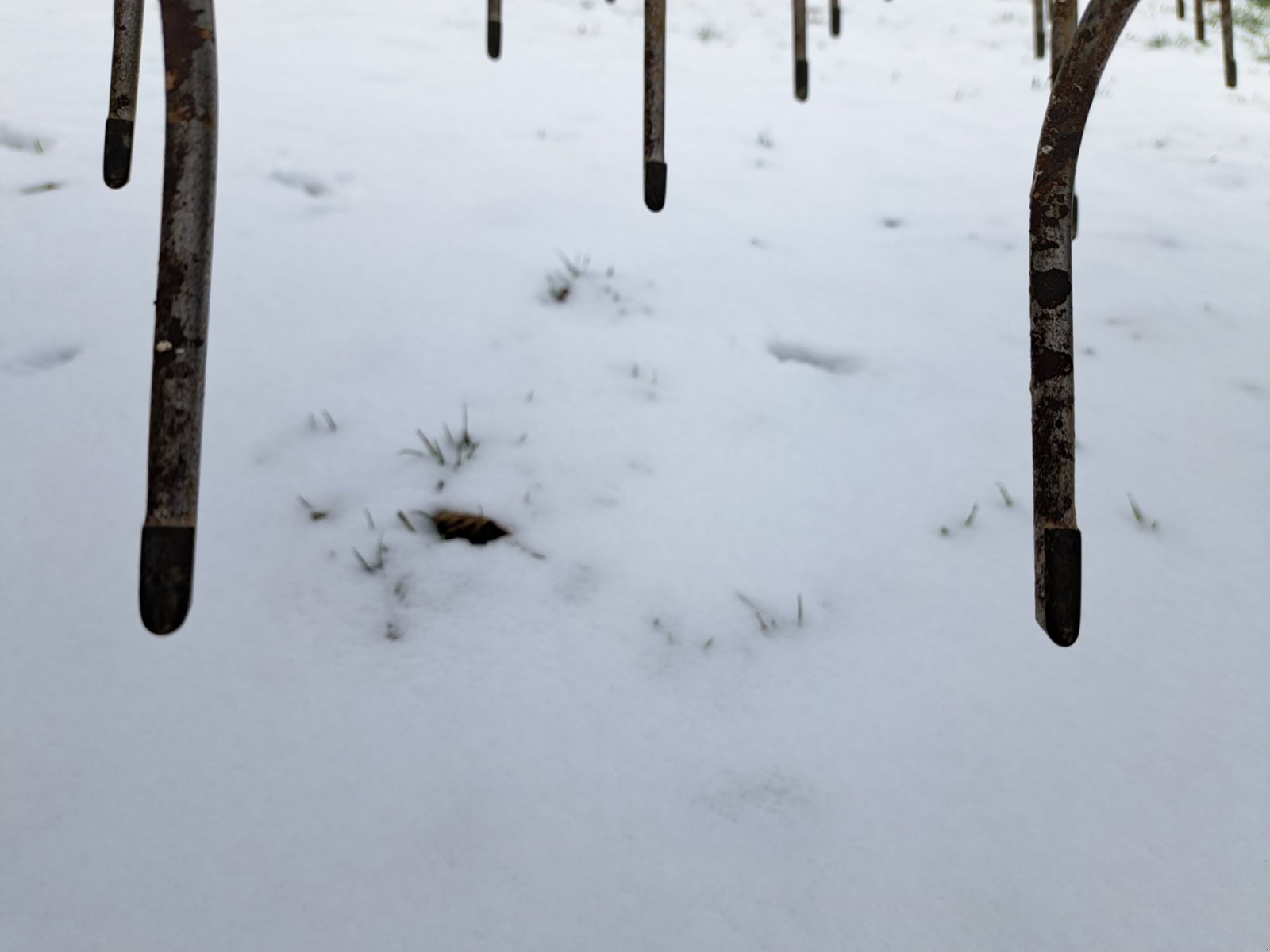 Striegeltechnik & Hacktechnik a típus Treffler TS 1220 M3, Gebrauchtmaschine ekkor: Waldsassen (Kép 15)
