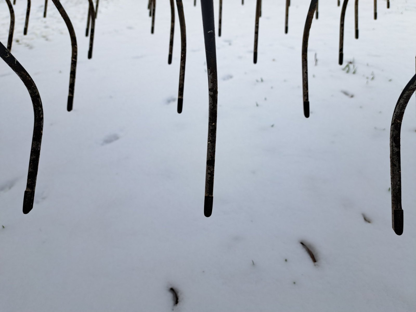 Striegeltechnik & Hacktechnik of the type Treffler TS 1220 M3, Gebrauchtmaschine in Waldsassen (Picture 11)