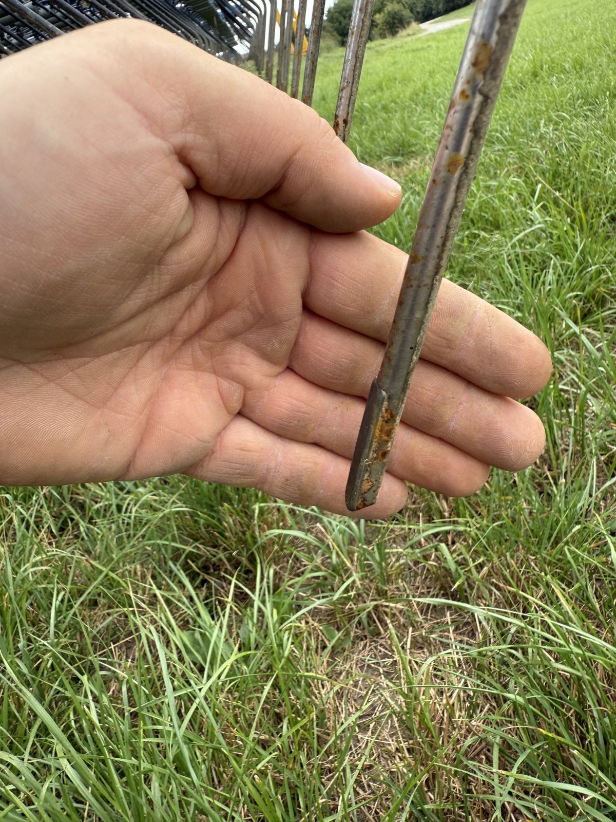 Striegeltechnik & Hacktechnik типа Treffler TS 920 M3 5N, Gebrauchtmaschine в Rehling (Фотография 3)