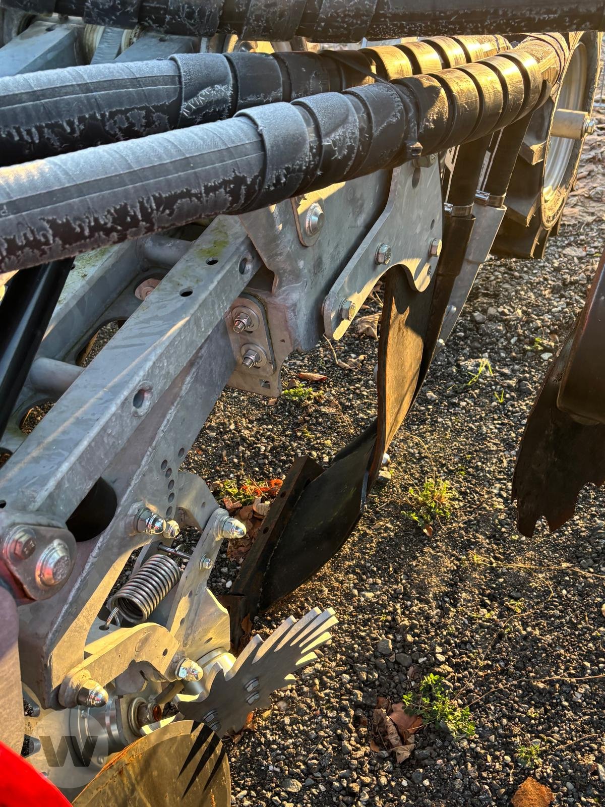 Strip-Till Gerät typu Volmer STRIP TILL CULEX, Neumaschine w Börm (Zdjęcie 5)