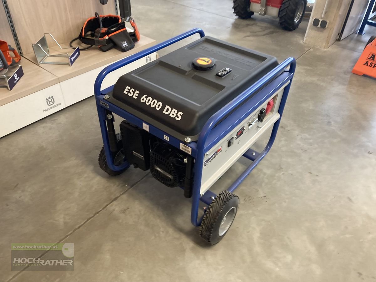 Stromgenerator des Typs Endress ESE 6000DBS, Neumaschine in Kronstorf (Bild 3)