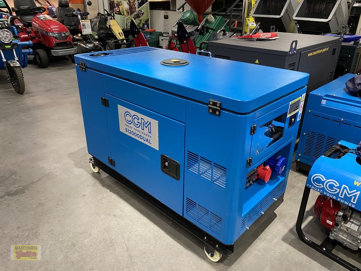 Stromgenerator of the type Sonstige 12000 DUAL, Neumaschine in Kötschach (Picture 8)