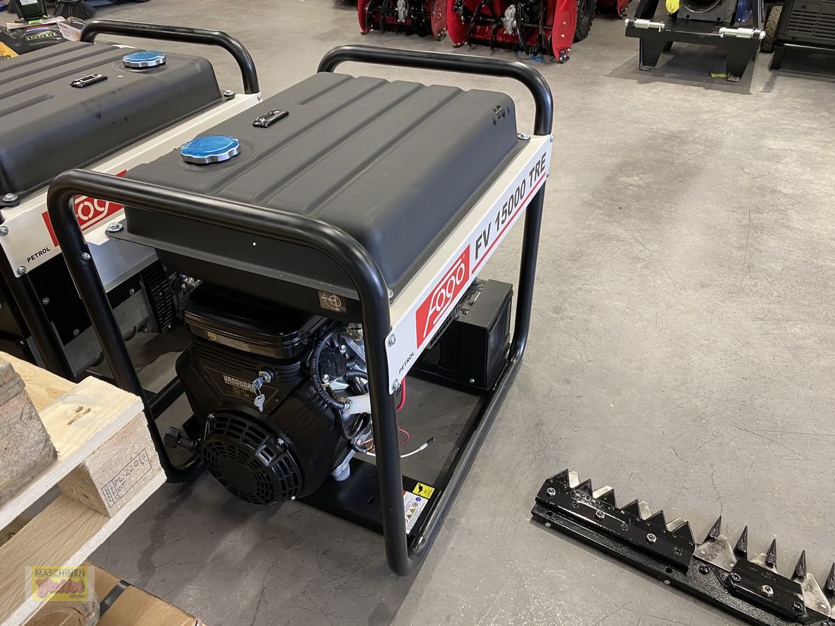 Stromgenerator of the type Sonstige FOGO Briggs & Straton 15000, Neumaschine in Kötschach (Picture 7)