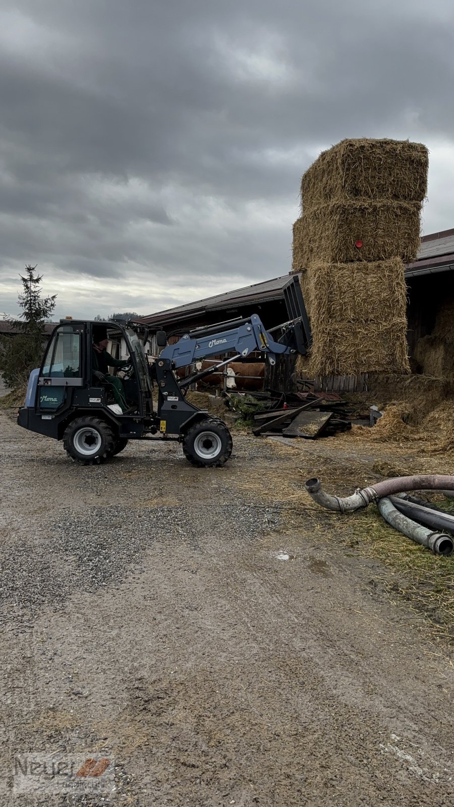 Teleradlader des Typs MONA Solara+, Neumaschine in Bad Waldsee Mennisweiler (Bild 3)