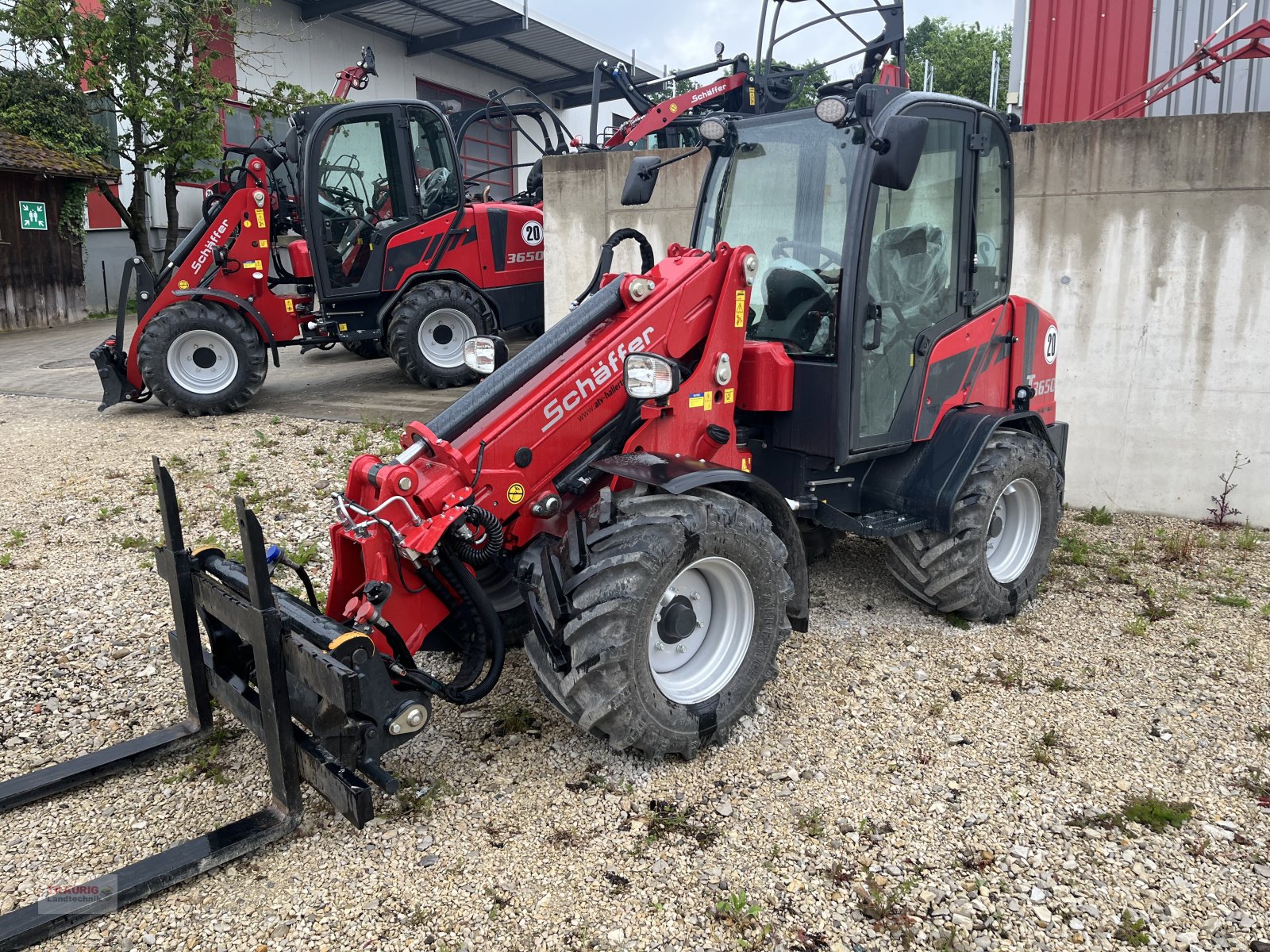 Teleradlader of the type Schäffer 3650T Vorführlader m. 120 Betriebsstunden, Neumaschine in Mainburg/Wambach (Picture 4)