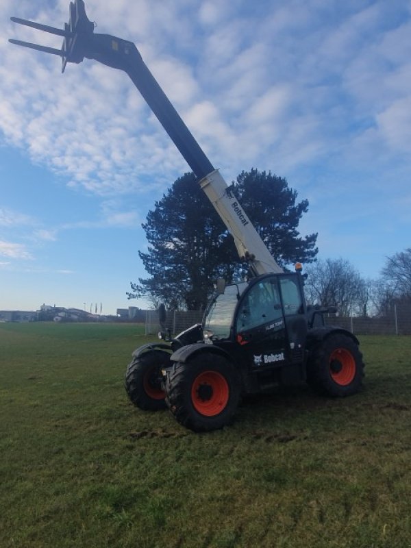 Teleskoplader des Typs Bobcat TL 38.70 HF, Gebrauchtmaschine in Neresheim (Bild 12)