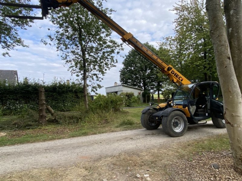 Teleskoplader типа DIECI 30.9 Dieci 30.9, Gebrauchtmaschine в Horslunde (Фотография 1)