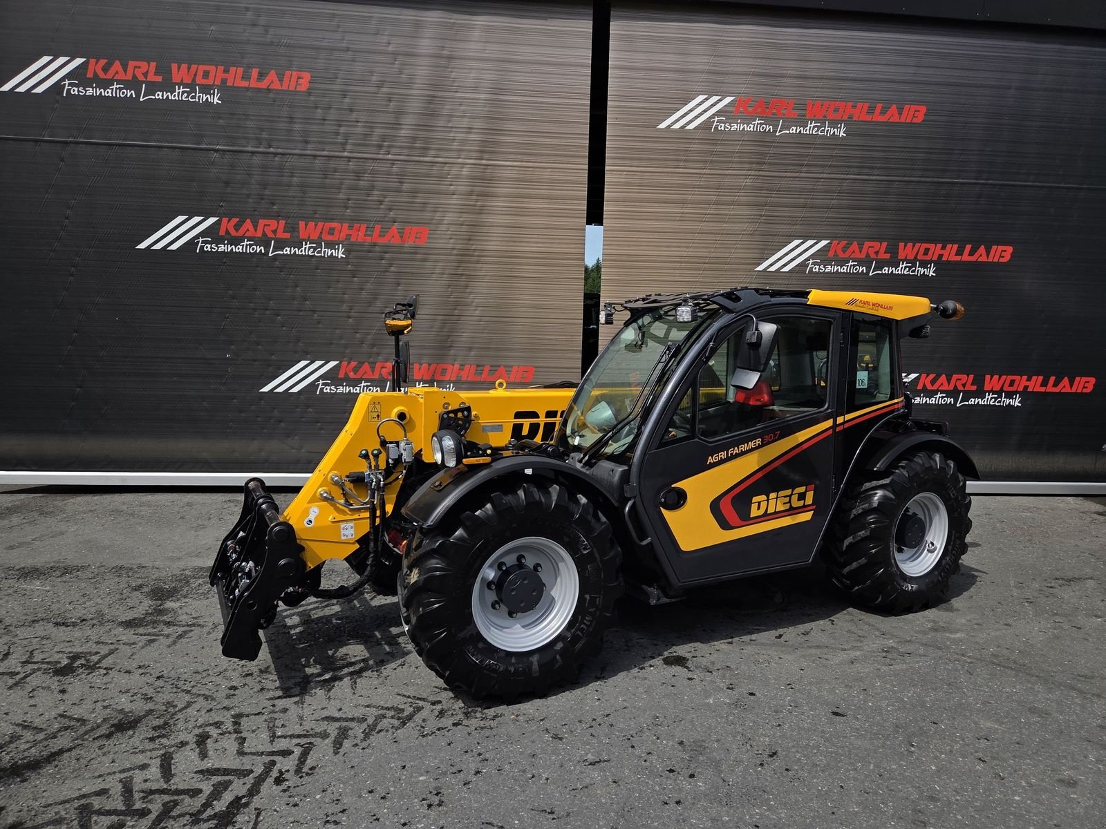 Teleskoplader typu DIECI Agri Farmer 30.7, Gebrauchtmaschine v Sulzberg (Obrázek 12)