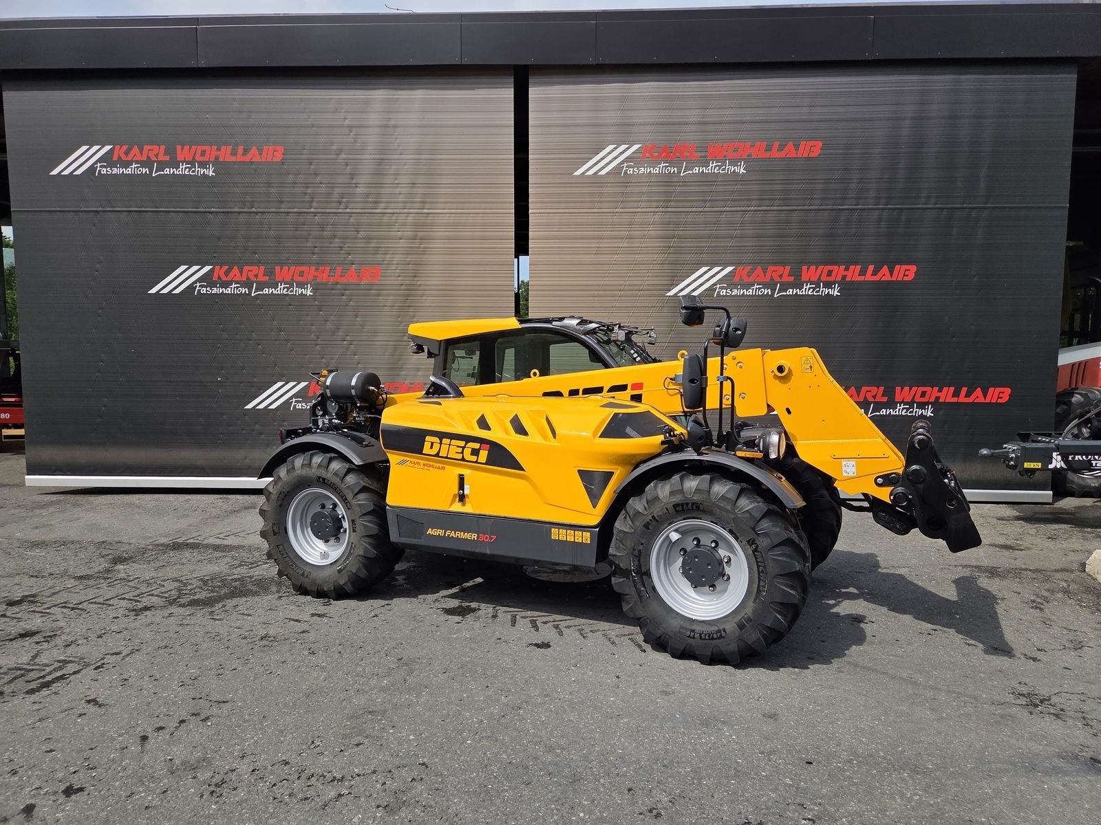 Teleskoplader typu DIECI Agri Farmer 30.7, Gebrauchtmaschine v Sulzberg (Obrázek 9)