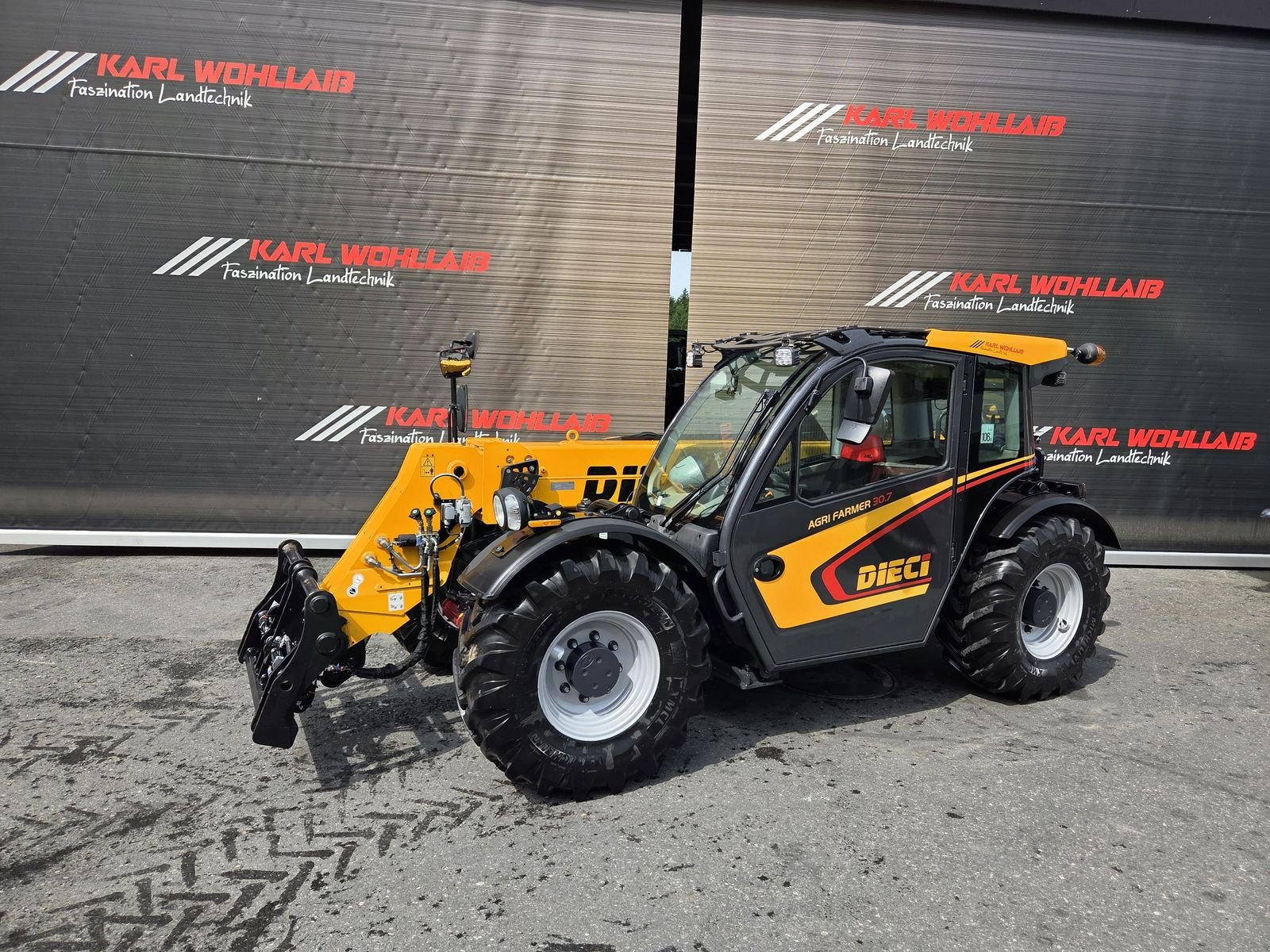 Teleskoplader typu DIECI Agri Farmer 30.7, Gebrauchtmaschine v Sulzberg (Obrázek 13)