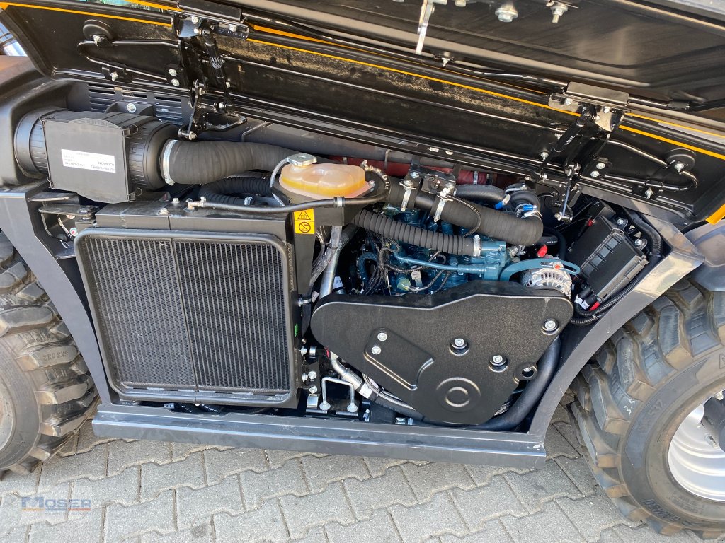 Teleskoplader des Typs DIECI Mini Agri 20.4 smart, Neumaschine in Massing (Bild 7)