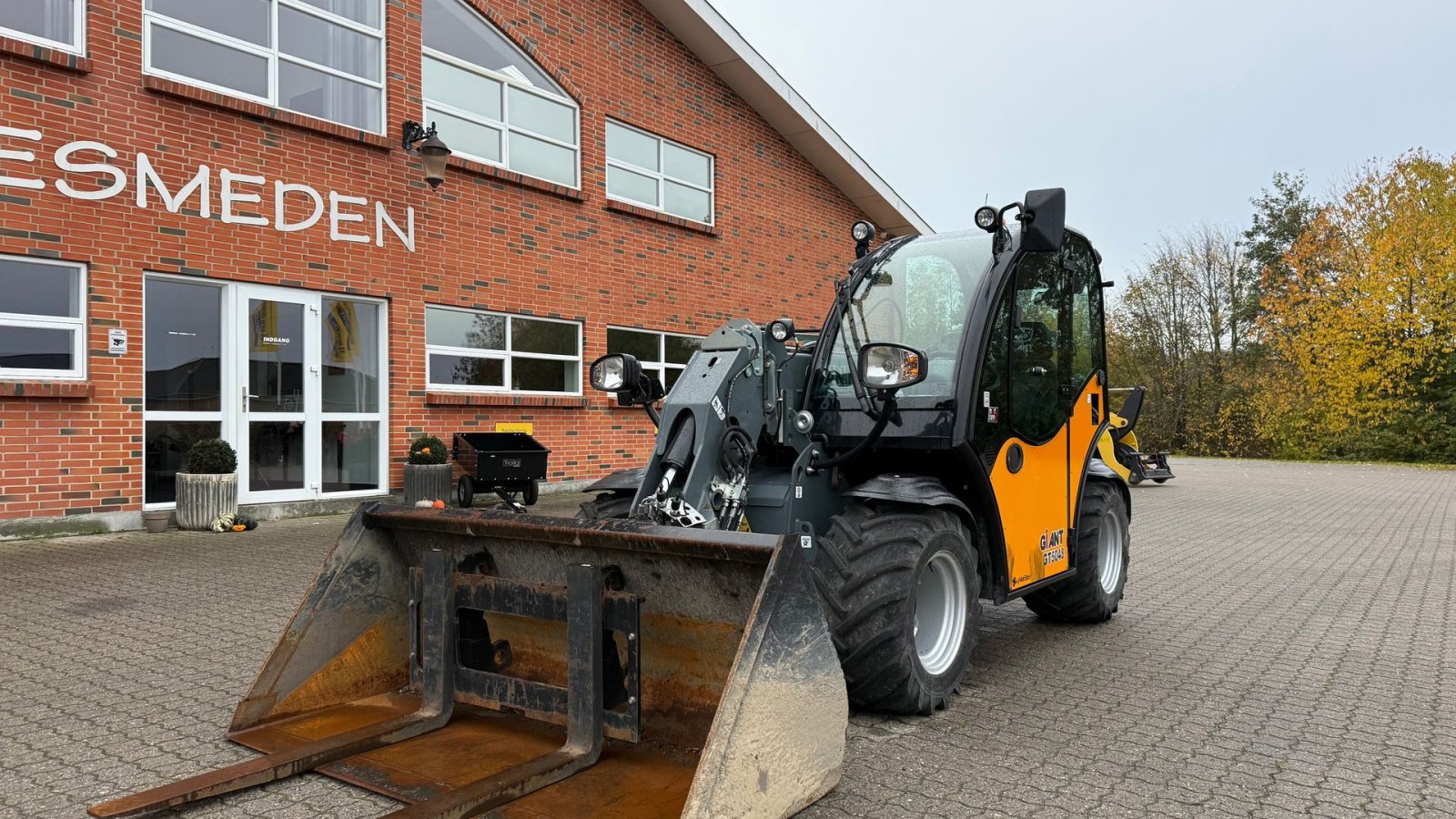 Teleskoplader del tipo GiANT GT5048, Gebrauchtmaschine en Gjerlev J. (Imagen 2)