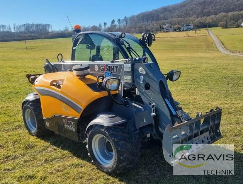 Teleskoplader za tip GiANT GT5048, Gebrauchtmaschine u Meschede (Slika 3)