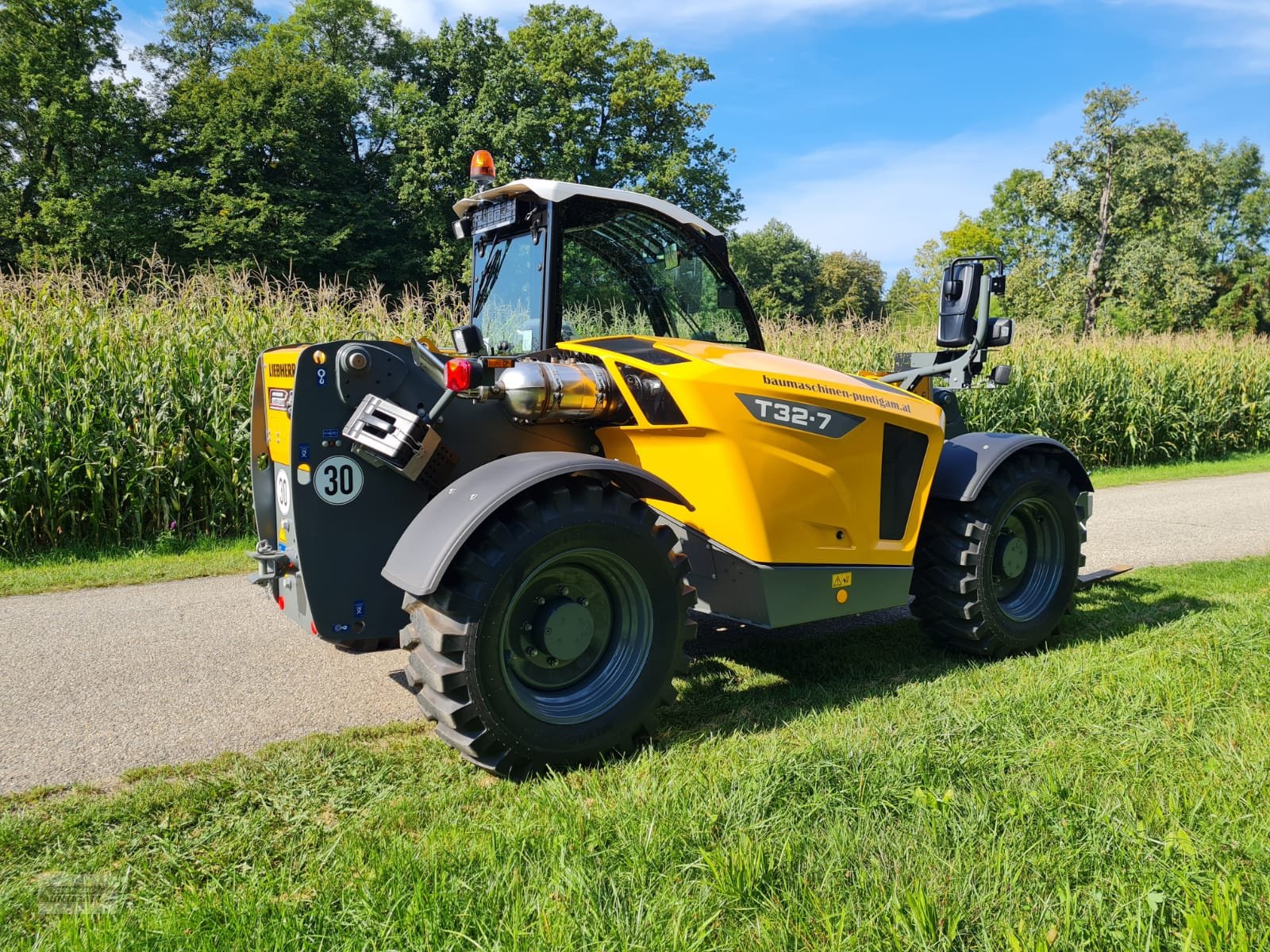 Teleskoplader του τύπου Liebherr T 32-7, Gebrauchtmaschine σε Deutsch - Goritz (Φωτογραφία 10)
