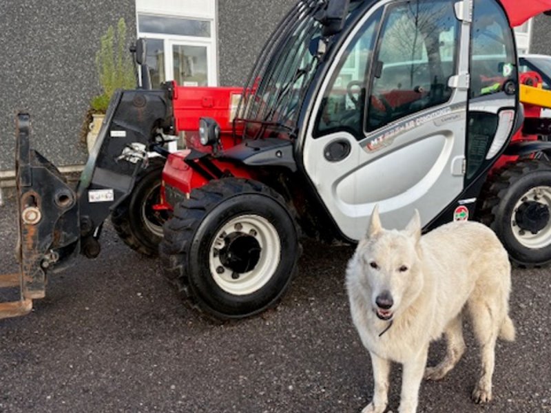Teleskoplader a típus Manitou MT 625 COMFORT M. SKOVL OG GAFLER. 3. FUNKTION, Gebrauchtmaschine ekkor: Dronninglund (Kép 1)