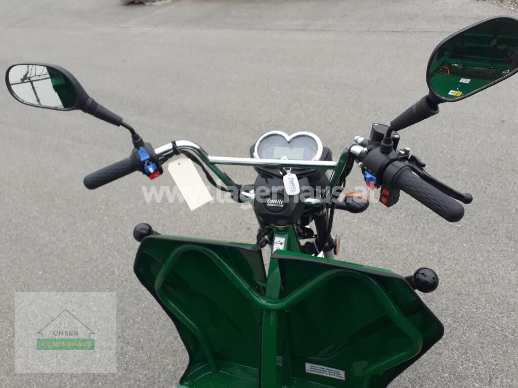 Teleskopstapler of the type Sonstige LASTENDREIRAD LDR 25, Neumaschine in Wolkersdorf (Picture 4)