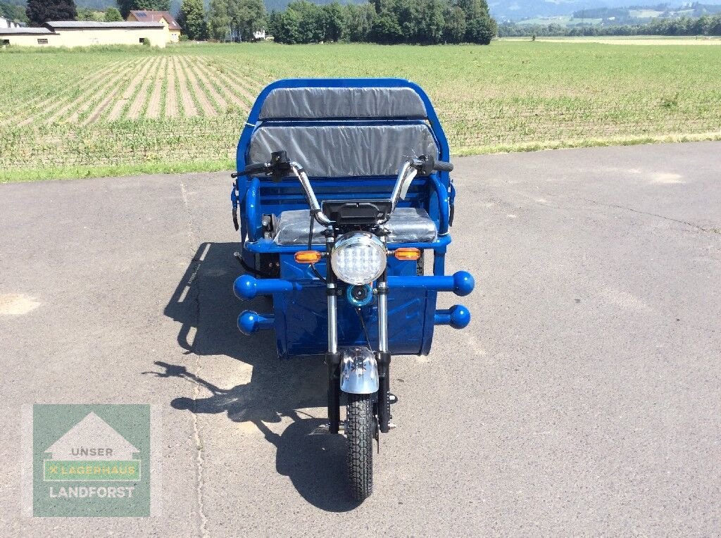 Teleskopstapler del tipo Sonstige LDR-35, Neumaschine In Kobenz bei Knittelfeld (Immagine 2)