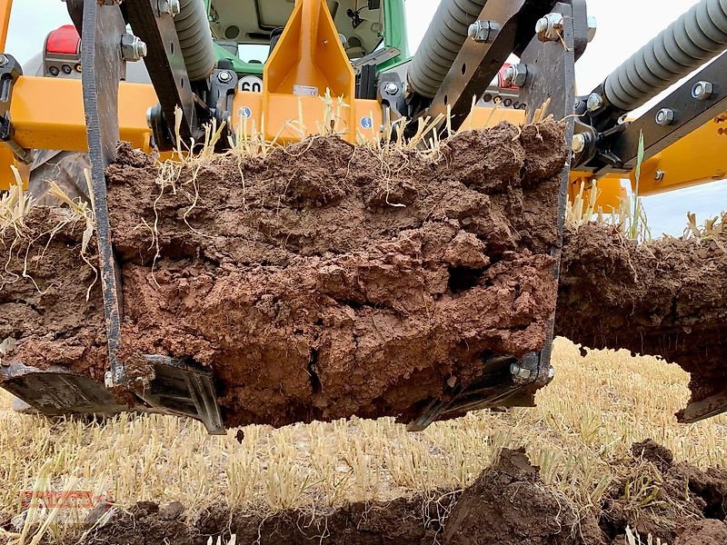 Tiefenlockerer tip Agrisem Cultiplow Platinum SR Tiefenlockerer 3 m Überlastsicherung, Neumaschine in Ostheim/Rhön (Poză 6)