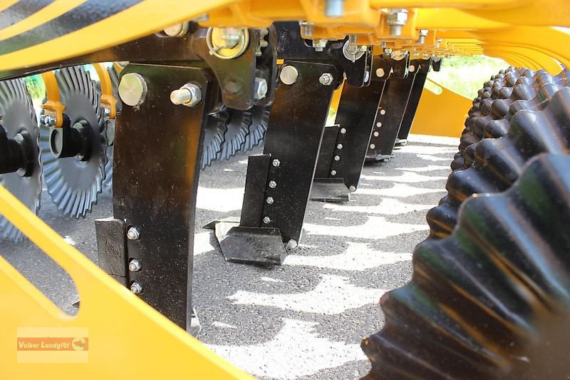 Tiefenlockerer типа Agrisem Maximulch 3 m Kurzscheibenegge-Tiefenlockerer Kombination T-Sem Walze bis 25 cm, Neumaschine в Ostheim/Rhön (Фотография 8)
