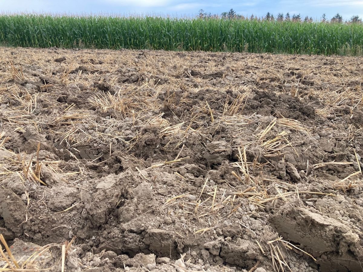 Tiefenlockerer of the type Agro-Masz Duro 30/6-Untergrundlockerer-NEU, Neumaschine in Eberschwang (Picture 22)