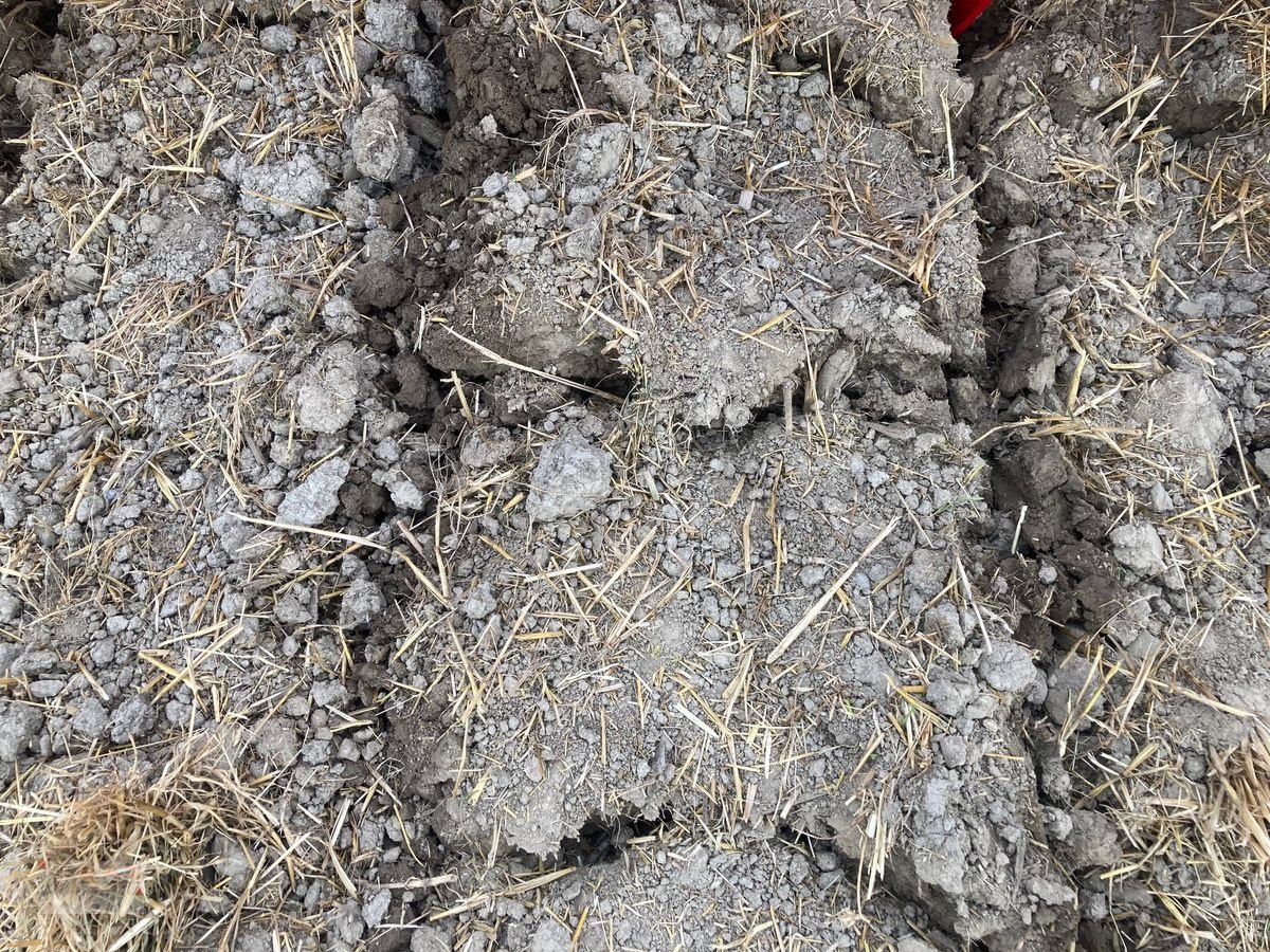 Tiefenlockerer of the type Agro-Masz Duro 30/6-Untergrundlockerer-NEU, Neumaschine in Eberschwang (Picture 18)