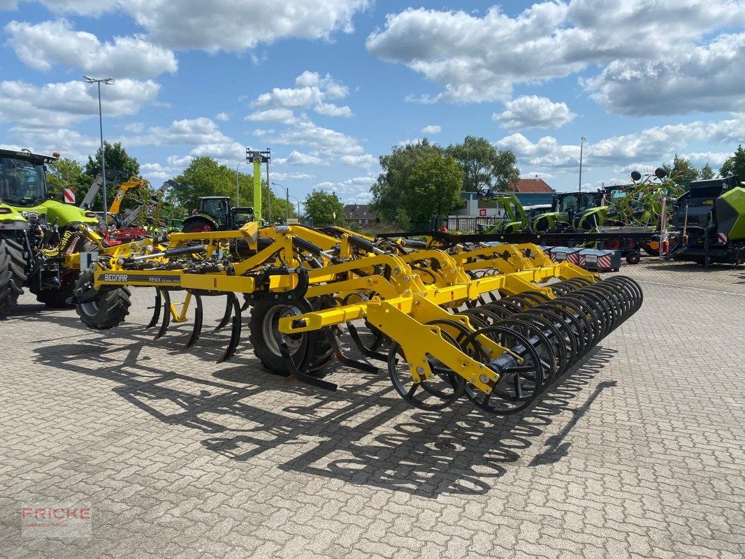 Tiefenlockerer του τύπου Bednar Fenix FO 5004 Profi, Gebrauchtmaschine σε Demmin (Φωτογραφία 11)