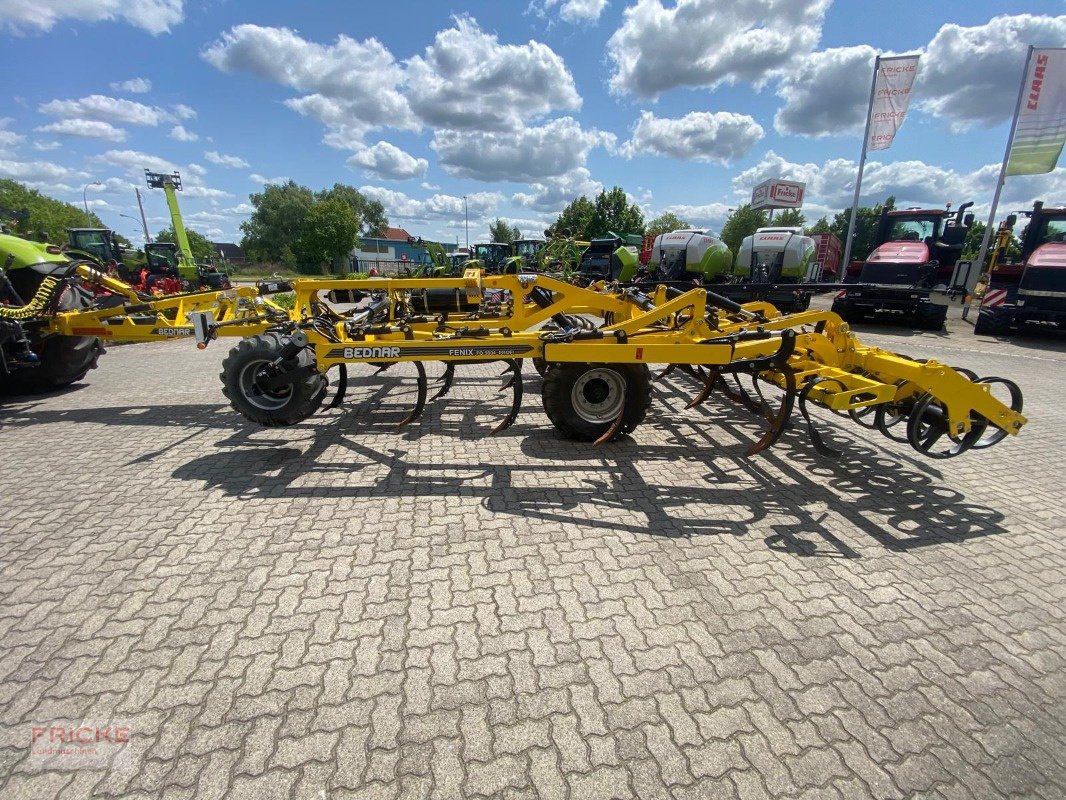 Tiefenlockerer του τύπου Bednar Fenix FO 5004 Profi, Gebrauchtmaschine σε Demmin (Φωτογραφία 12)