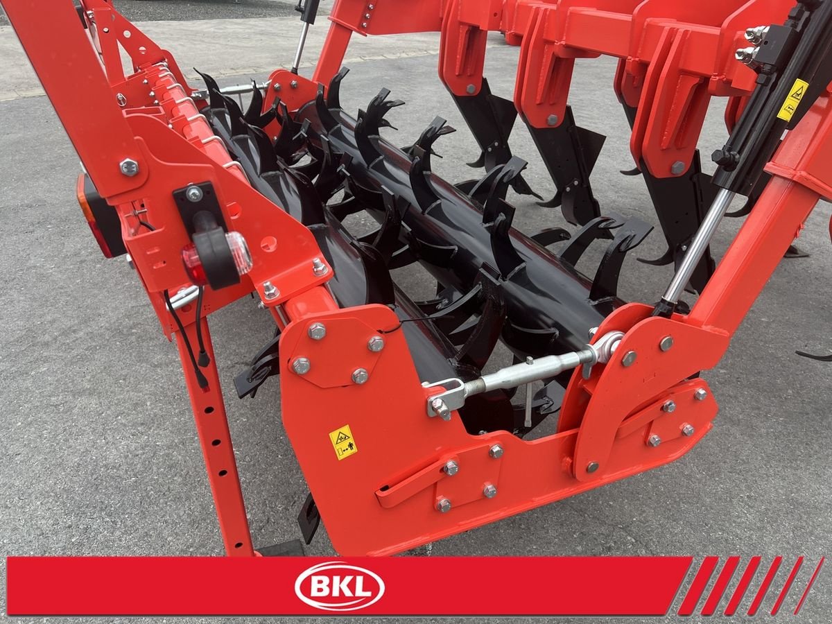 Tiefenlockerer des Typs Maschio ARTIGLIO 300-7 - Tiefenlockerer, Neumaschine in Rovisce (Bild 10)