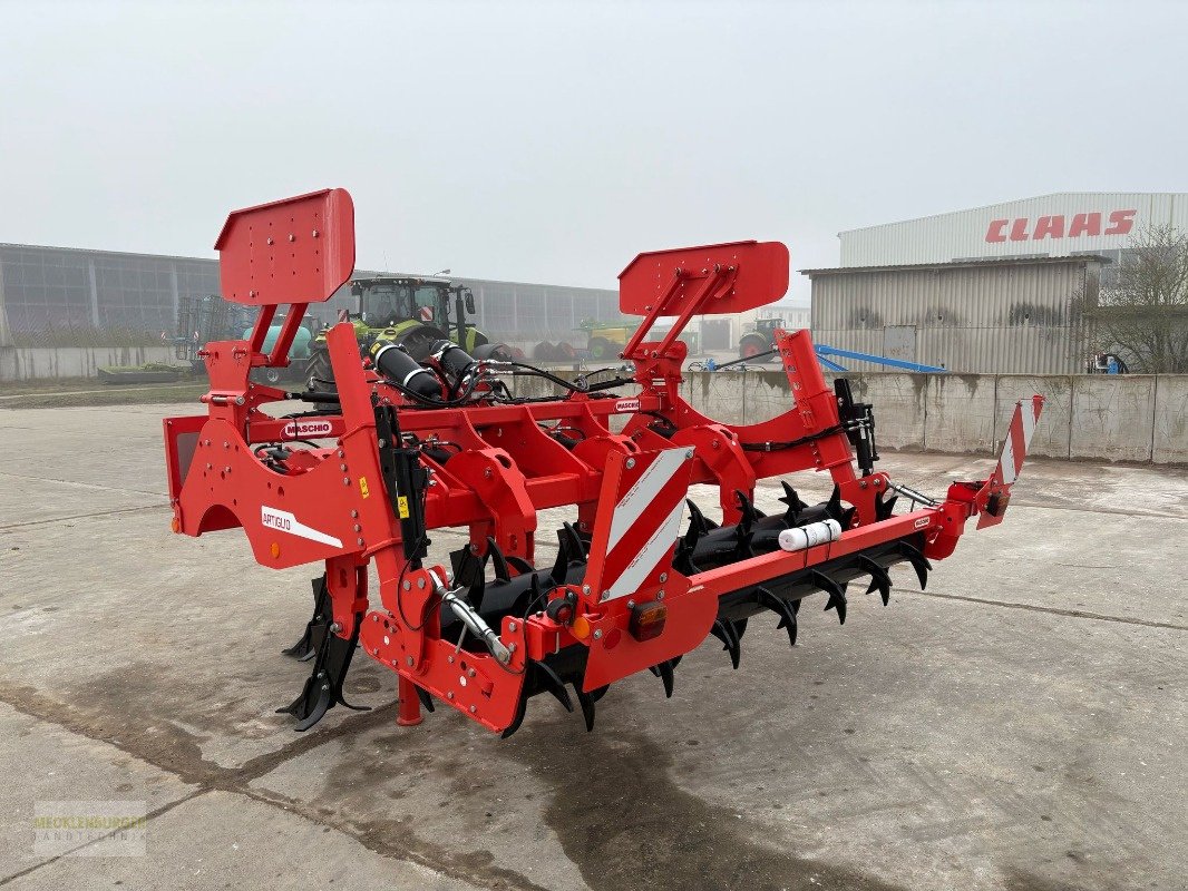 Tiefenlockerer des Typs Maschio ARTIGLIO 300  Tiefenmeißel, Gebrauchtmaschine in Mühlengeez (Bild 3)